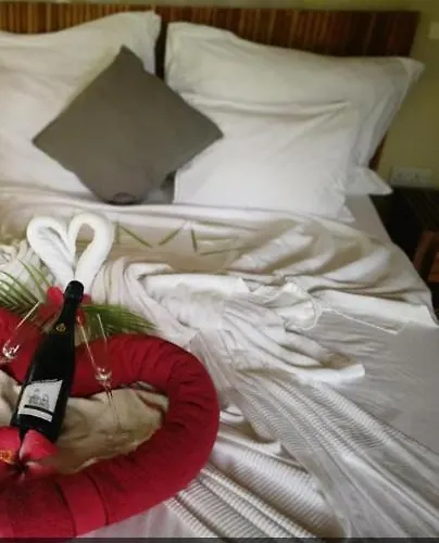 Vanilla Bed & Breakfast
